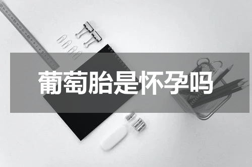 葡萄胎是怀孕吗