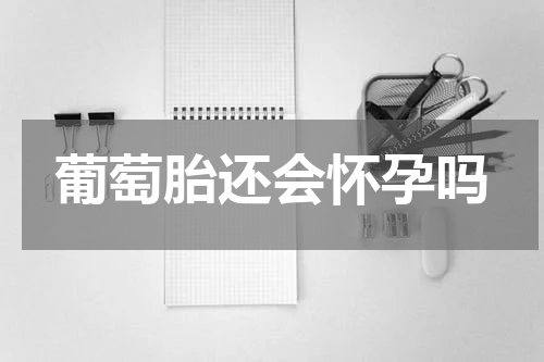 葡萄胎还会怀孕吗