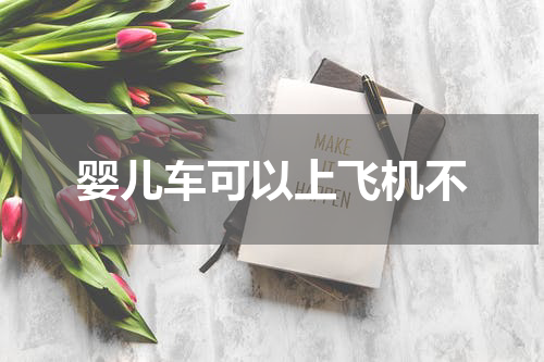 婴儿车可以上飞机不