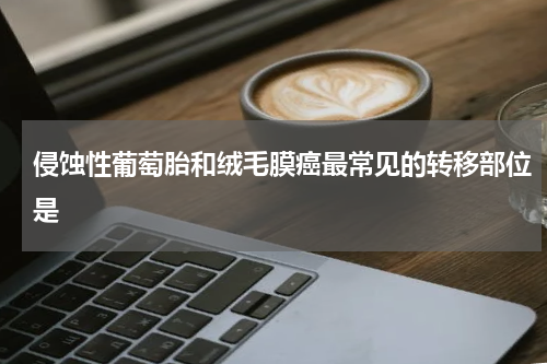 侵蚀性葡萄胎和绒毛膜癌最常见的转移部位是