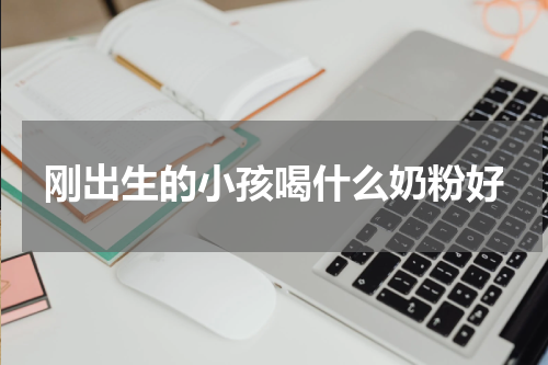 刚出生的小孩喝什么奶粉好