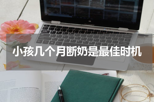 小孩几个月断奶是最佳时机