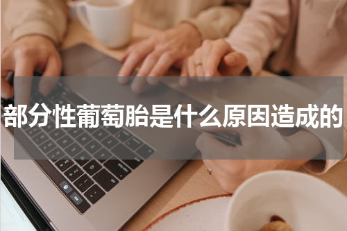 部分性葡萄胎是什么原因造成的