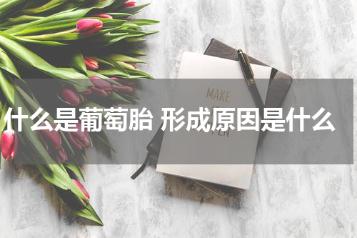 什么是葡萄胎 形成原因是什么