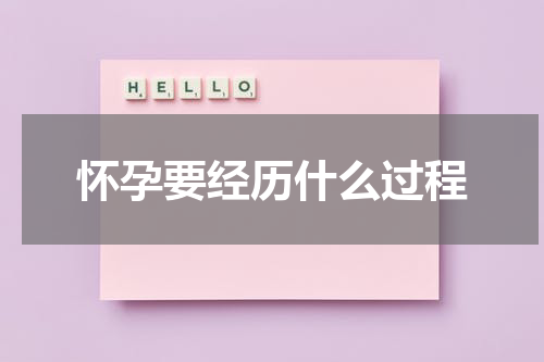 怀孕要经历什么过程