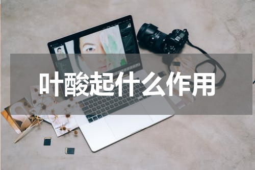 叶酸起什么作用