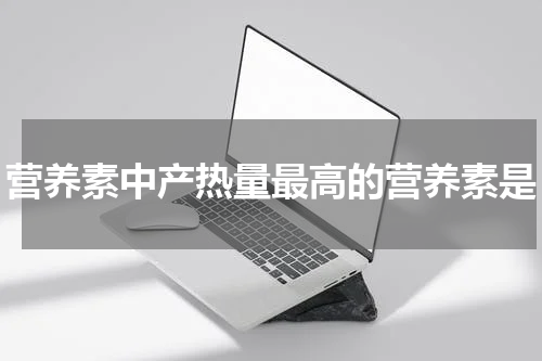 营养素中产热量最高的营养素是