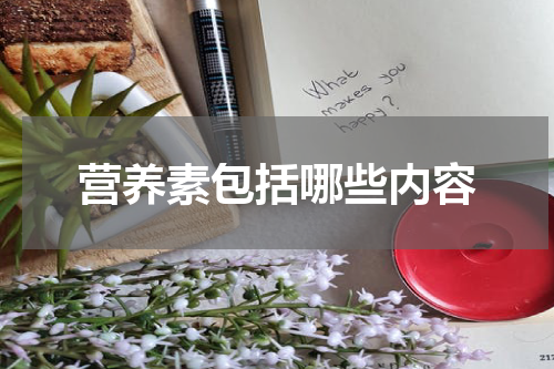营养素包括哪些内容