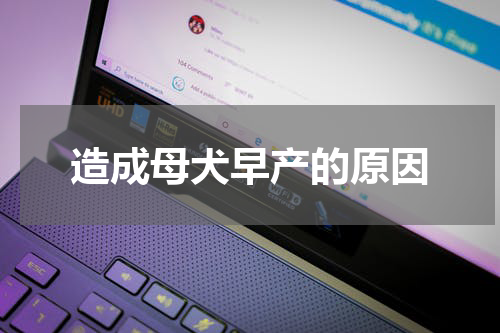 造成母犬早产的原因