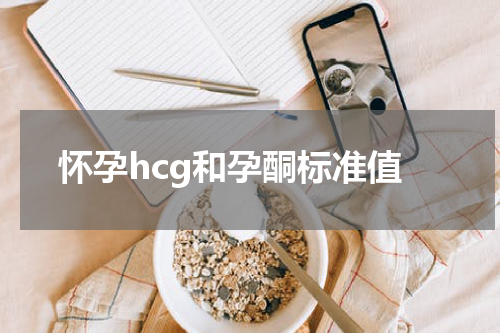 怀孕hcg和孕酮标准值