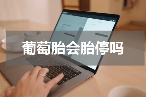 葡萄胎会胎停吗