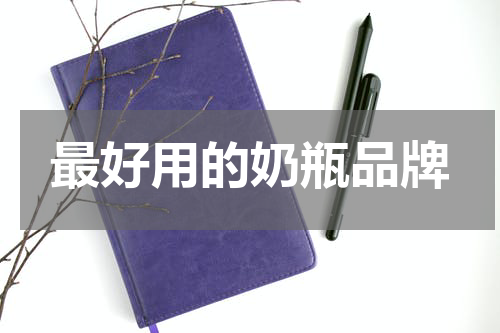 最好用的奶瓶品牌