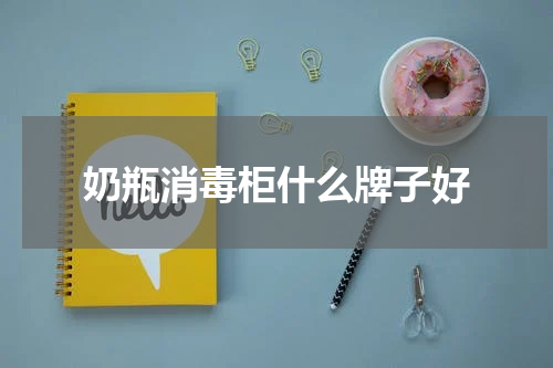奶瓶消毒柜什么牌子好