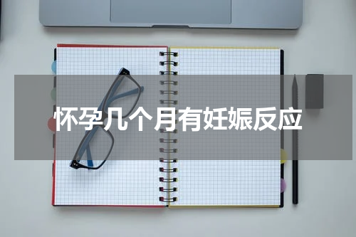 怀孕几个月有妊娠反应