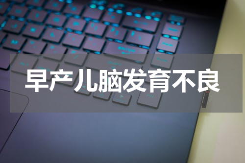 早产儿脑发育不良