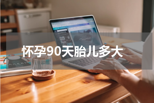 怀孕90天胎儿多大