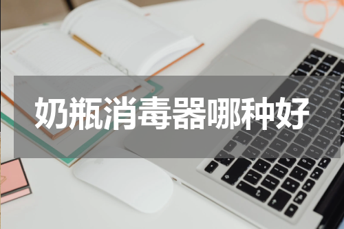 奶瓶消毒器哪种好