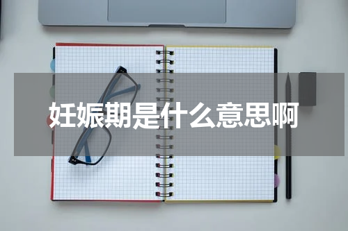 妊娠期是什么意思啊