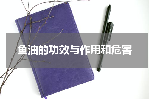 鱼油的功效与作用和危害