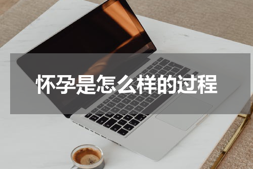 怀孕是怎么样的过程