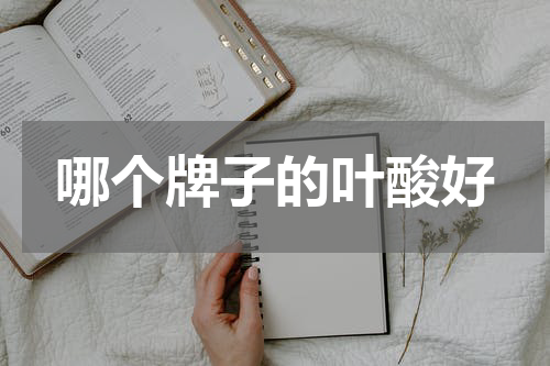 哪个牌子的叶酸好