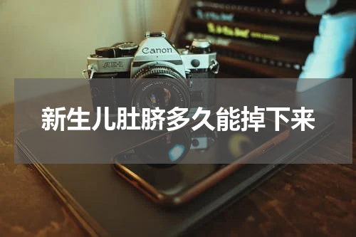 新生儿肚脐多久能掉下来