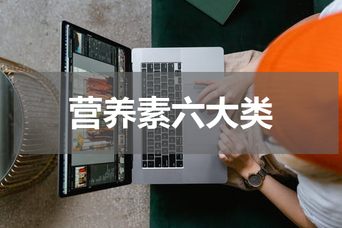 营养素六大类