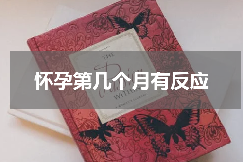 怀孕第几个月有反应