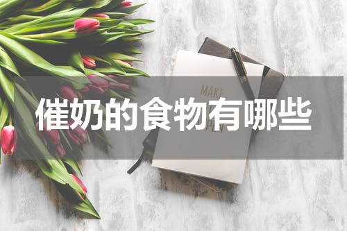催奶的食物有哪些