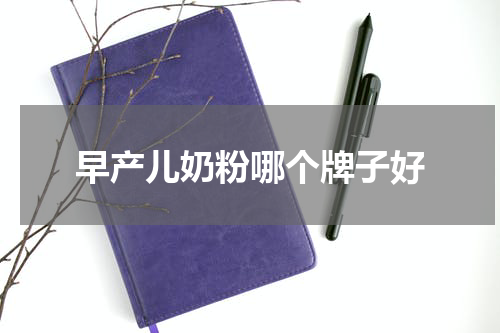 早产儿奶粉哪个牌子好