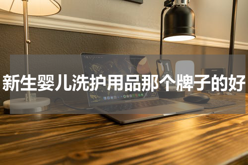 新生婴儿洗护用品那个牌子的好