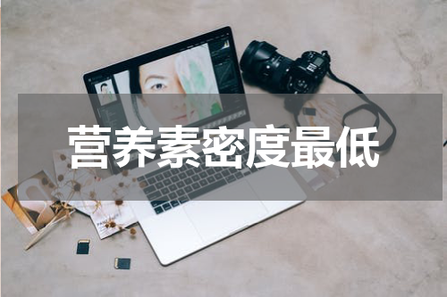 营养素密度最低
