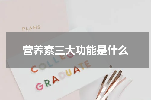 营养素三大功能是什么