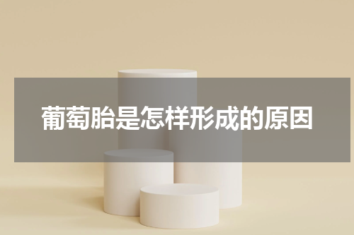 葡萄胎是怎样形成的原因