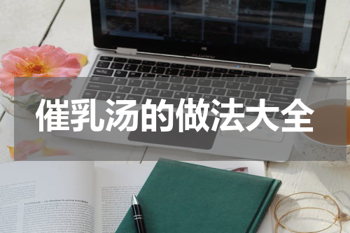 催乳汤的做法大全
