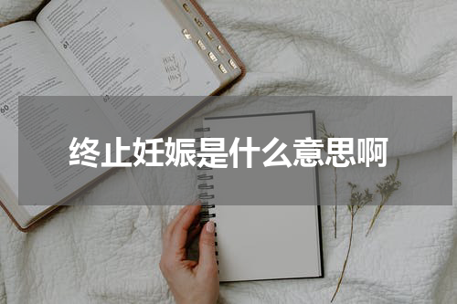 终止妊娠是什么意思啊