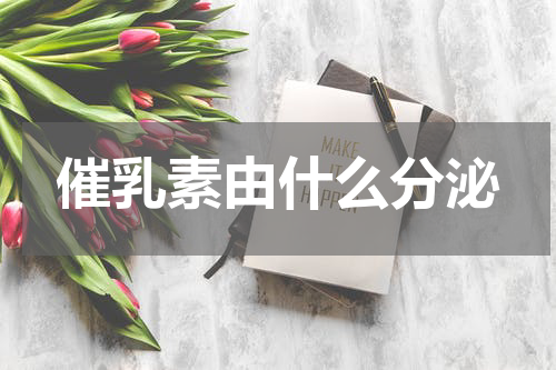 催乳素由什么分泌