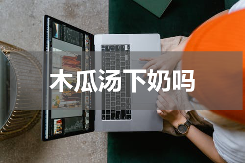 木瓜汤下奶吗