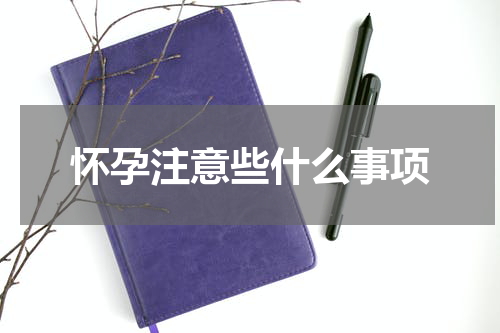 怀孕注意些什么事项