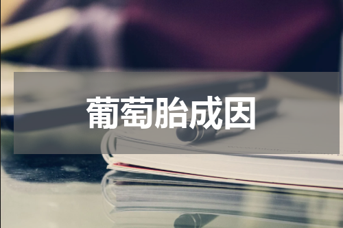 葡萄胎成因
