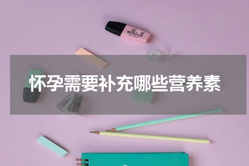 怀孕需要补充哪些营养素