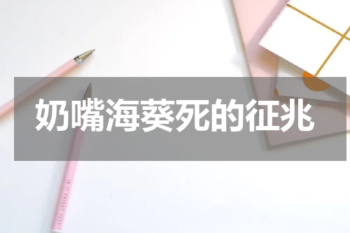 奶嘴海葵死的征兆