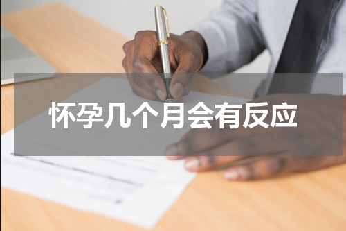 怀孕几个月会有反应
