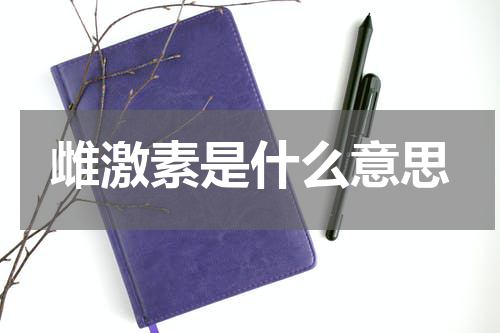 雌激素是什么意思
