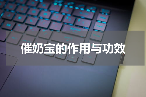 催奶宝的作用与功效