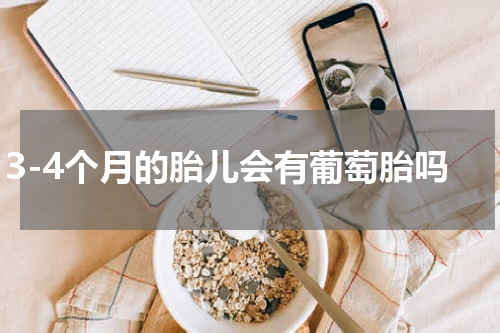 3-4个月的胎儿会有葡萄胎吗