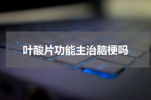叶酸片功能主治脑梗吗