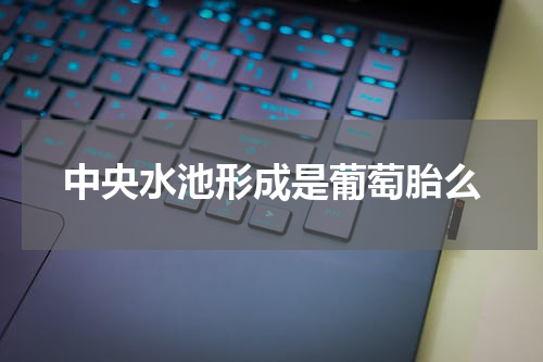 中央水池形成是葡萄胎么