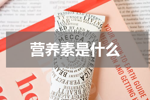 营养素是什么