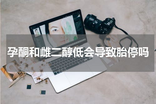 孕酮和雌二醇低会导致胎停吗